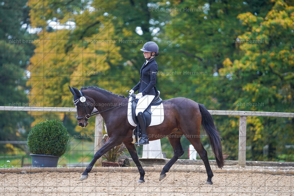20221008-FAH00885 | Diessen am Ammersee, 2022, Dressur- und Springturnier, Reitsportbilder, Turnierfotografen Bayern, Pferdefotografen, Fotoagentur Herrmann, Turnierbilder