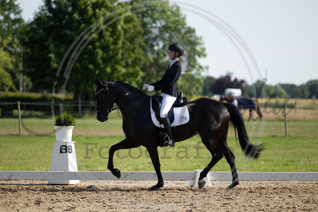 994A4205 | sabrinanicolaifotografie - Realisiert mit Pictrs.com