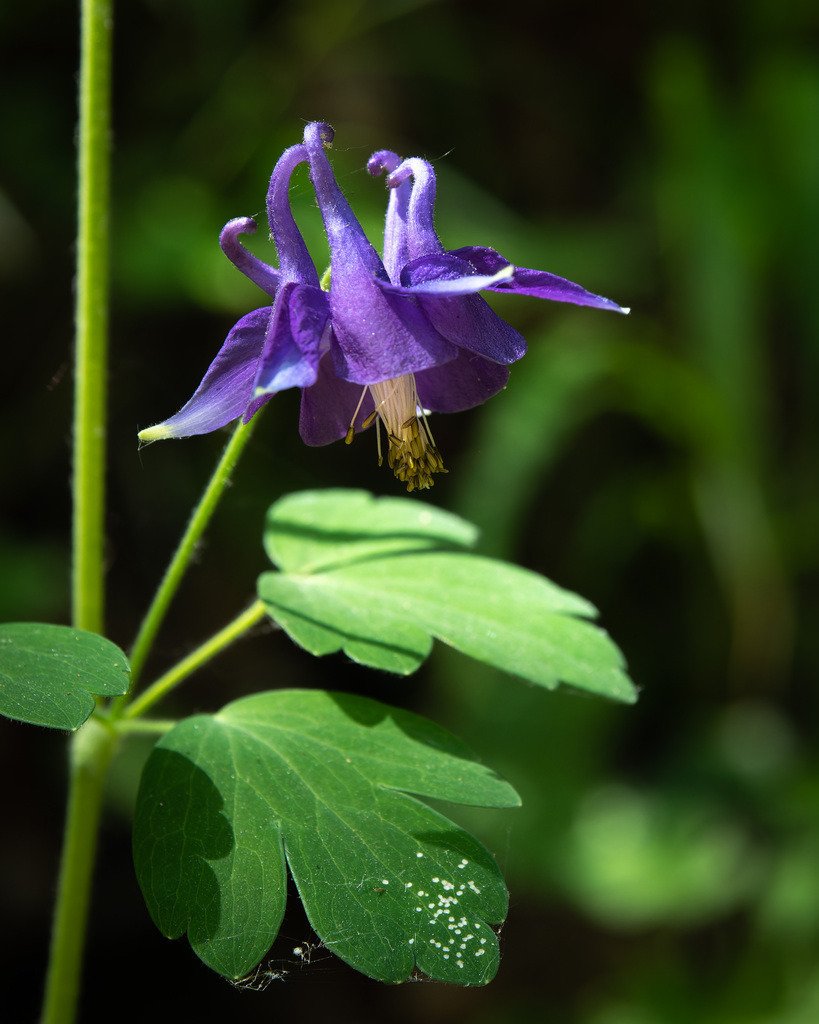 DxO_P1169435-RW2 | Schöne Fotografien aus der Stadt und der Natur zum bestellen oder selber hochladen. Druck auf Foto, Postkarte, Kalender, FineArt Hahnemühle, Alu-Dibond , Akustikbilder zur Absorption von Schall und Lärm etc. - Realisiert mit Pictrs.com