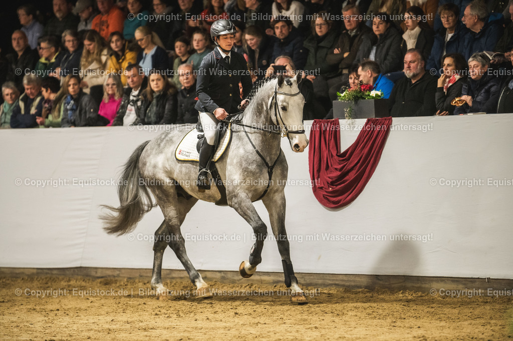 20240302_Hengstvorstellung_Marbach_TOMsPiC_0311 | equistock