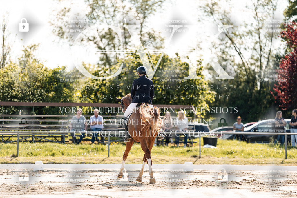 CK909317 | Turnierfotografie Pferdefotografie Trier Rheinland-Pfalz Pferdesport Reitsport Tierfotografie Sportfotografie Pferdevideo Pferdevideografie Equestrianvideography equestrianphotography  - Realisiert mit Pictrs.com