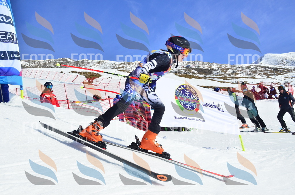 _ELE9830 | holidayphoto