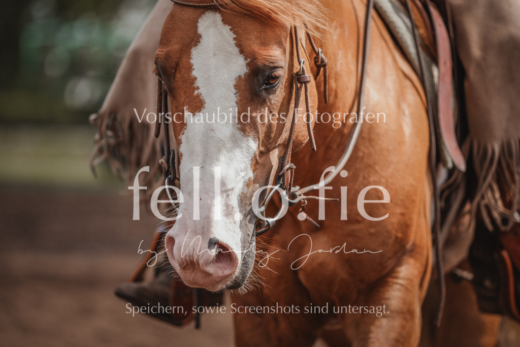 fell.o.fie_mandyjordan_2024_06_08549 | Mandy Klecke Fellfotografie, fell.o.fie Fotografenshop - Realisiert mit Pictrs.com