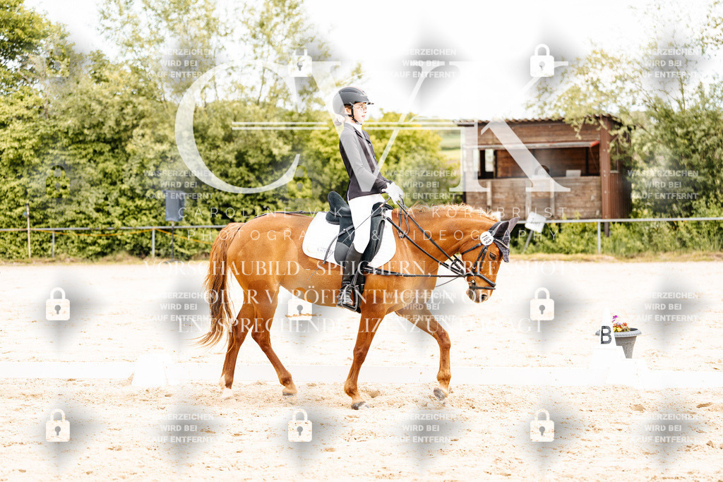 CK904456 | Turnierfotografie Pferdefotografie Trier Rheinland-Pfalz Pferdesport Reitsport Tierfotografie Sportfotografie Pferdevideo Pferdevideografie Equestrianvideography equestrianphotography  - Realisiert mit Pictrs.com