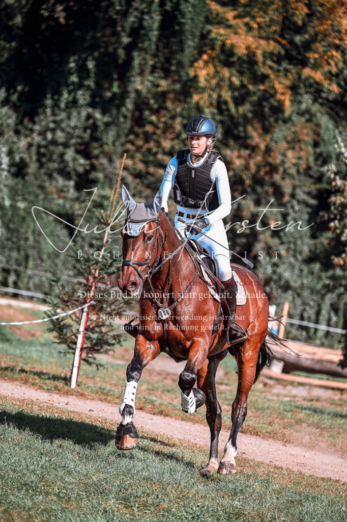 DSC_1099 | Pferde- und Turnierfotografie in Westsachsen. Pferdeportraits, Auftragszeichnungen und intuitive Kunst.