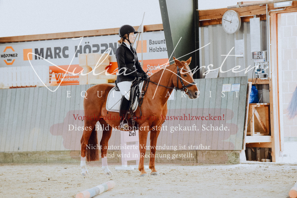 DSC_6778 | Pferde- und Turnierfotografie in Westsachsen. Pferdeportraits, Auftragszeichnungen und intuitive Kunst.