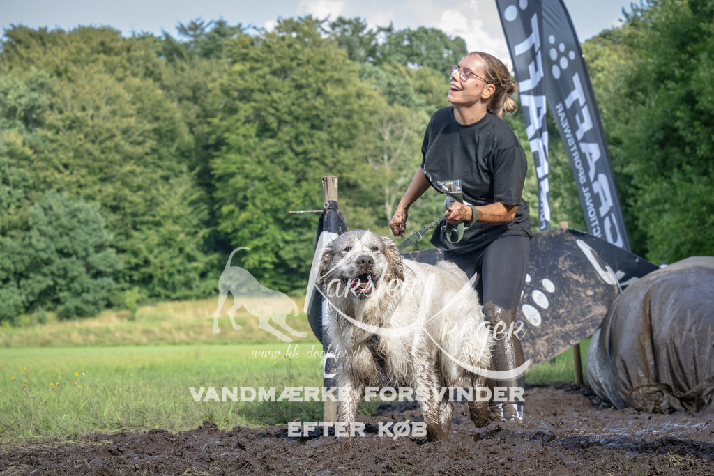 1715_ZZ91733 | kk-dogfotos