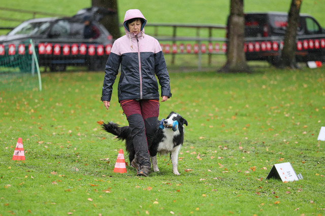2025_Rally_Obedience_SM-124 | Ich fotografiere Hundeausstellungen, Sportanlässe, Zuchtstätten, Hundezucht, Hundeportrait, Lagotto - Realisiert mit Pictrs.com