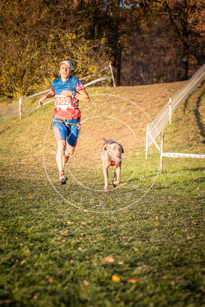 CaniXpix_0L8A1299 | Hundefotografie, Tierfotograf, Pfotenfotografie, Fotoshooting Hund, Hunde Portrait, Hundesport, Hundeportraits, Heideshooting, Hunde, Sportfotograf, Hundefotograf, Turnierhundsport, THS,  - Realisiert mit Pictrs.com