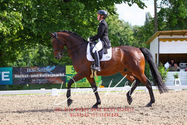 DKP41493 | Deine Turnierfotos vom Reitturnier online kaufen: Dressur, Springen & Siegerehrung. Professionelle Pferdefotografie aus dem Rheinland – als Download & Print.Alternative: Turnierfotograf für den Pferdesport: Finde deine Fotos von Dressur- und Springturnier