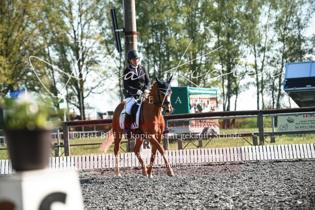 DSC_8422 | Pferde- und Turnierfotografie in Westsachsen. Pferdeportraits, Auftragszeichnungen und intuitive Kunst.