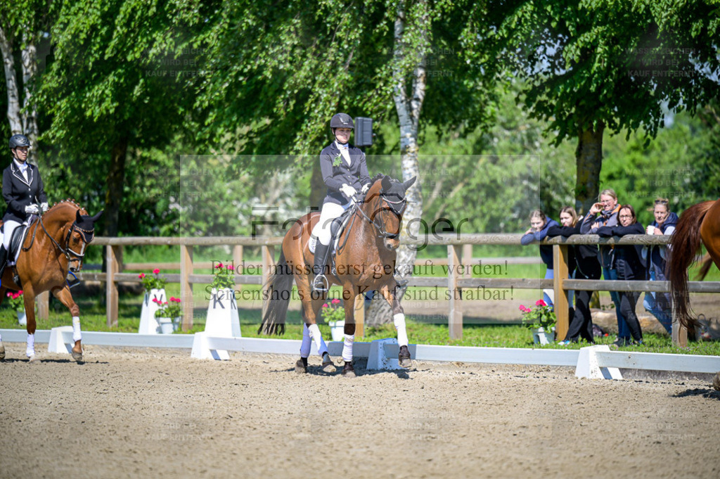 Reitturnier Lienen | Entdecke hochwertige Reitturnierfotos von Foto Oger. Professionell, emotional und authentisch – jetzt Lieblingsmomente im Shop bestellen. - Realisiert mit Pictrs.com