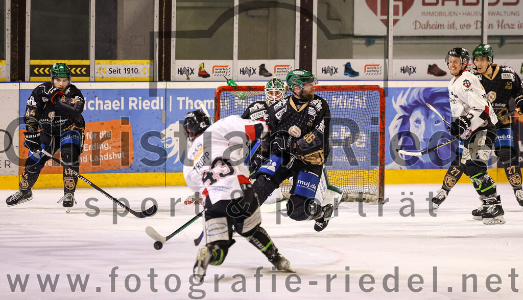 2024-03-15_112_TSV_Erding_gegen_EHC_Koenigsbrunn | Erding, Deutschland, 15.03.2024:
Eishockey, Bayernliga Playoffs 2023 / 2024, 3. Spieltag, TSV Erding gegen EHC Königsbrunn, Endergebnis: 3:4 n. V.

Hayden Trupp (EHC Königsbrunn, #43), Michael Trox (Erding Gladiators, #86)

Foto: Christian Riedel / fotografie-riedel.net