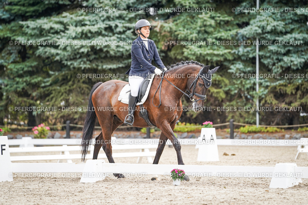 DSC00343 | Pferdegrafie