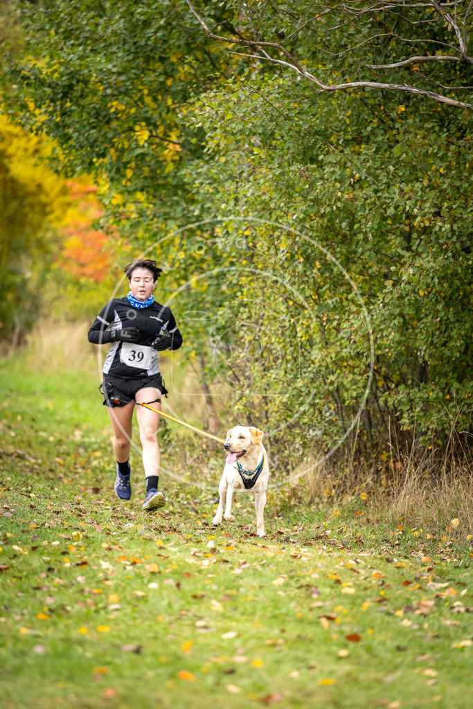 Pfotenfotografie_DV3A2258 | Hundefotografie, Tierfotograf, Pfotenfotografie, Fotoshooting Hund, Hunde Portrait, Hundesport, Hundeportraits, Heideshooting, Hunde, Sportfotograf, Hundefotograf, Turnierhundsport, THS,  - Realisiert mit Pictrs.com