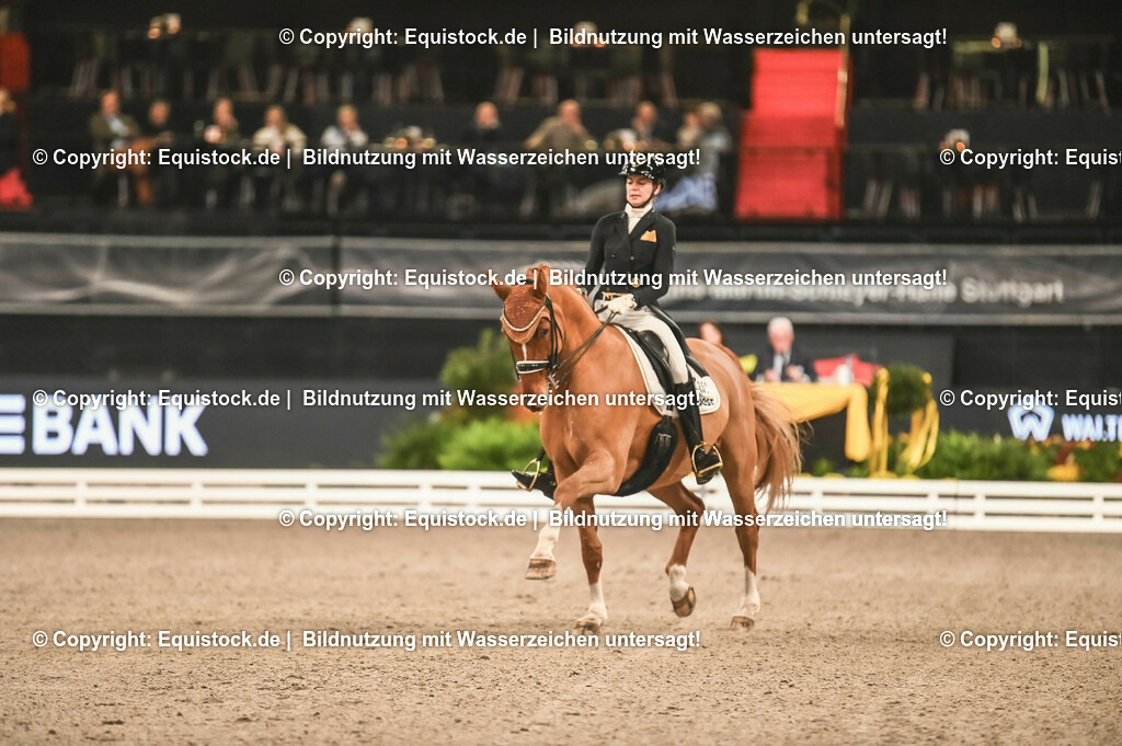 20231115_20_Dressur_Kl-S++_0265_TOMsPiC | Foto: Thomas Hartig