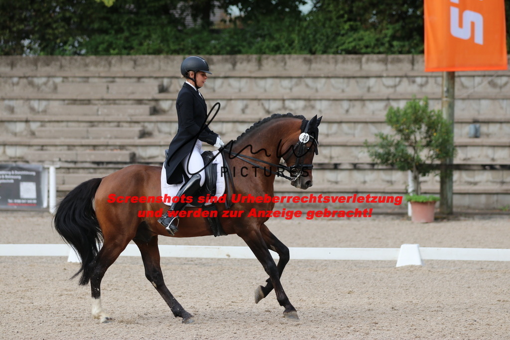 IMG_6094 | lmwpictures - Realisiert mit Pictrs.com