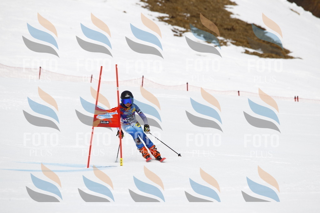 _U3G7283 | holidayphoto