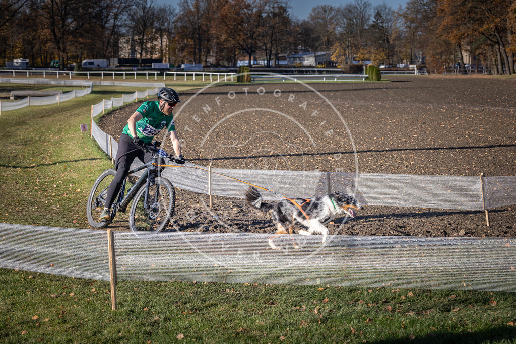 CaniXpix_DV3A3796 | Hundefotografie, Tierfotograf, Pfotenfotografie, Fotoshooting Hund, Hunde Portrait, Hundesport, Hundeportraits, Heideshooting, Hunde, Sportfotograf, Hundefotograf, Turnierhundsport, THS,  - Realisiert mit Pictrs.com