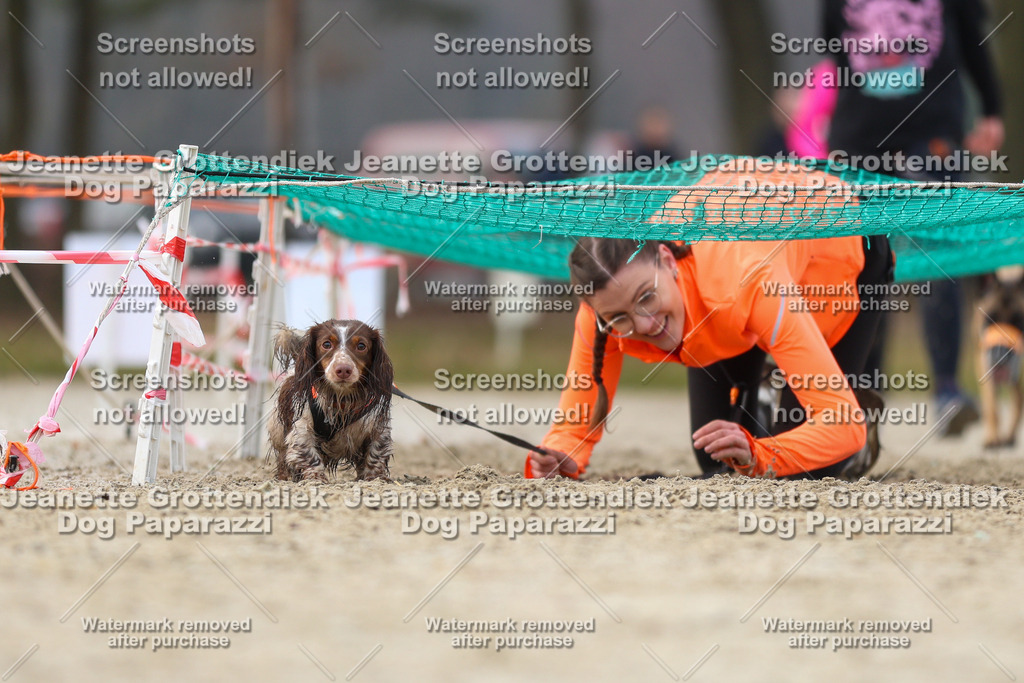 Dog Paparazzi - Strongdog North Mrz26-4433 | Dog Paparazzi Jeanette Grottendiek Fotografie & Videografie - Realisiert mit Pictrs.com