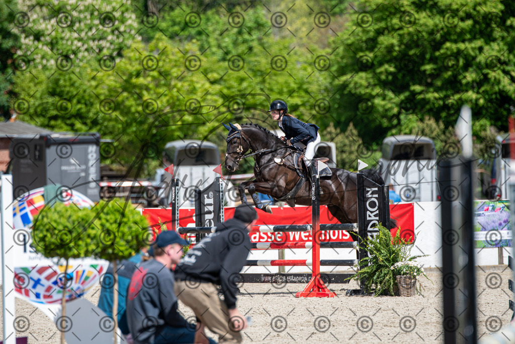 KPT_5271 | andre_photographic