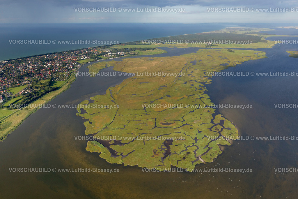 Zingst12082569 | Insel Großer Kirr, Barther Bodden,  Zingst, Ostsee, Mecklenburg-Vorpommern, Deutschland, Europa