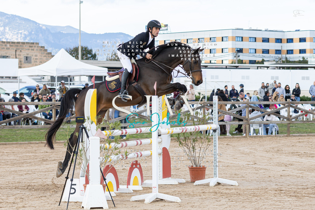 IMG_7846 | s-jay-photography - Realisiert mit Pictrs.com