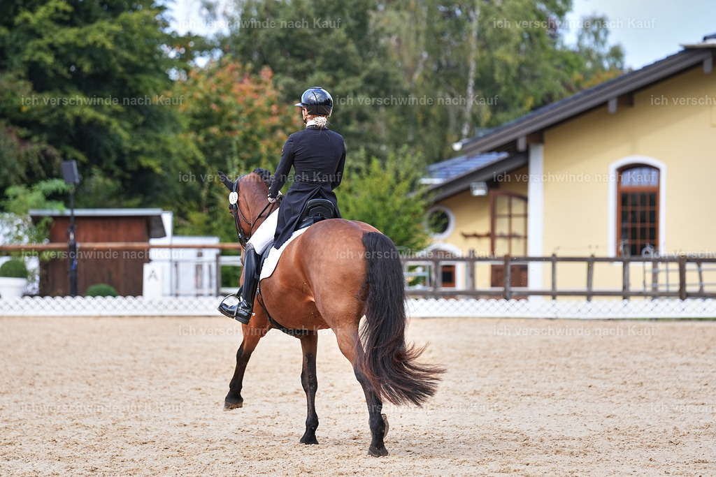07-189-DRESSUR  S___  -Marixx-5155 | working equitationturnier fotograf videograf stoibphotography marixx film working equitation deutschland reitsport turnierfotografie eventfotografie equestrian events