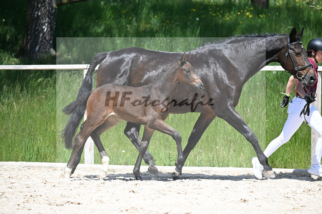 Feliciano x Ray Ban_SF_Stadelmann_10250564 | hf-fotografie - Realizzato con Pictrs.com