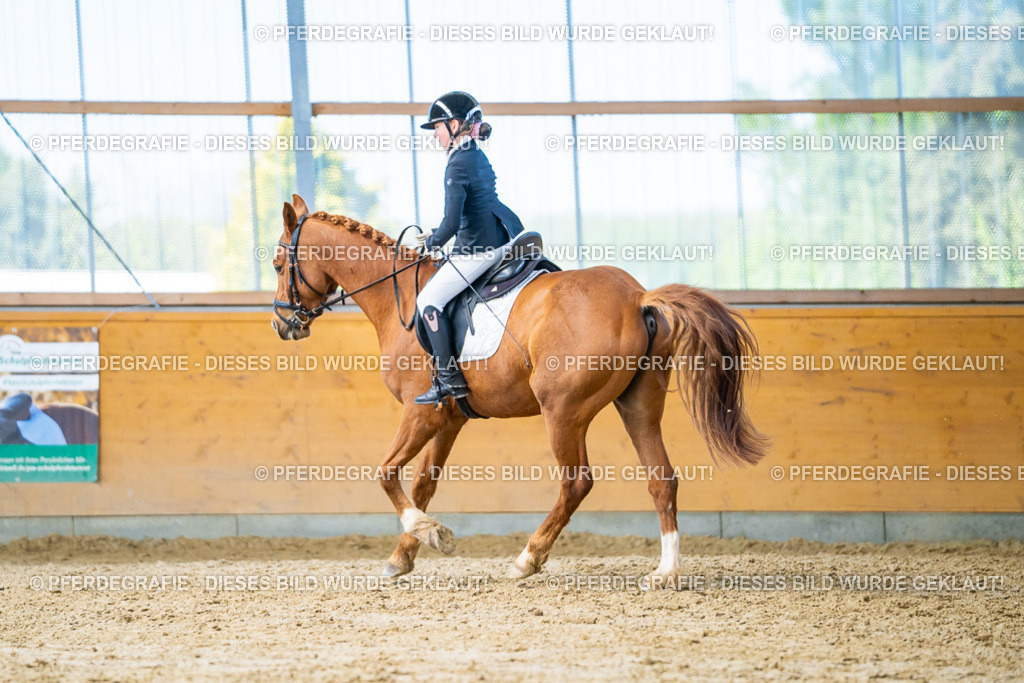 DSC08375 | Pferdegrafie