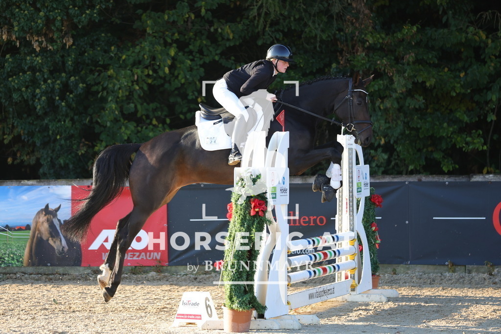 0P6A8557 | Willkommen bei Brunnmayr - Design & Fotografie – Ihrem Spezialisten für Reitturniere und Pferdeveranstaltungen in Oberösterreich, Salzburg und Bayern! Seit über 17 Jahren sind wir leidenschaftlich dabei.