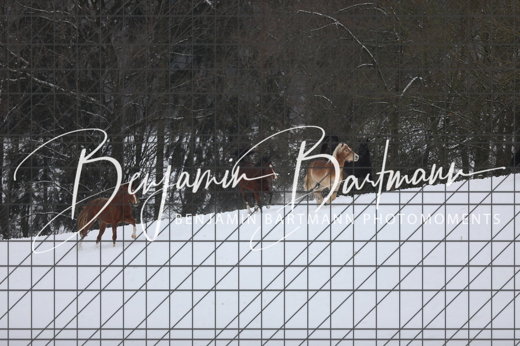 AZ2A3342 | Benjamin Bartmann Photomoments