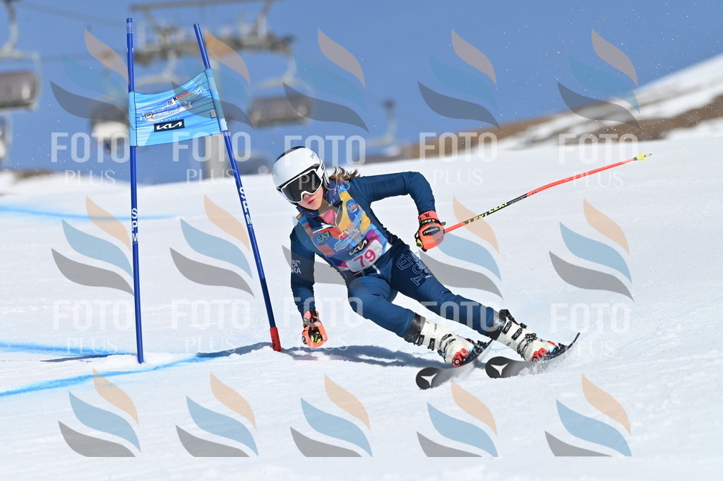 BGV_9048 | holidayphoto