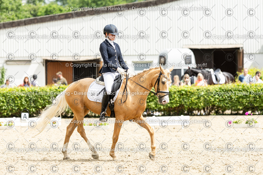 CL5A1982 | Emilia Reinking Fotografie - Realisiert mit Pictrs.com