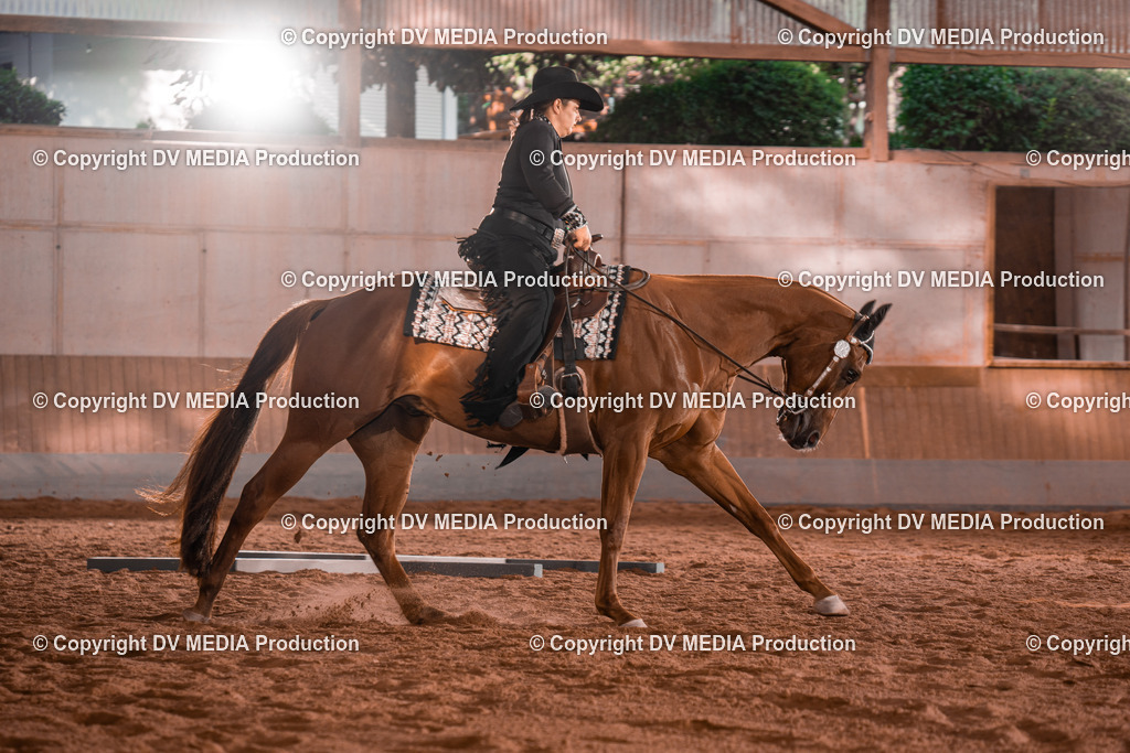 NE200097 | dv-media-shop - Realisiert mit Pictrs.com