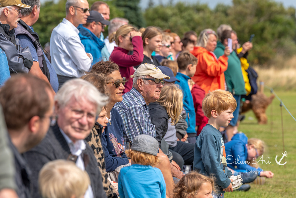 EAF_7025 | Eilun-Art-Fotografie Levke Martens, ihre Fotografin für Immobilien- und Landschaftsfotografie auf Föhr, Föhrer Motive als Poster, Leinwand, hinter Acrylglas oder stelle dir deinen eigenen Monatskalender zusammen, mit nur einem Klick