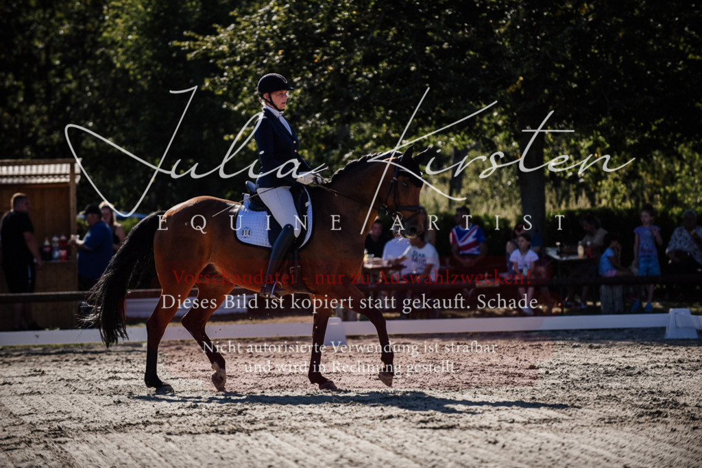 DSC_0395 | Pferde- und Turnierfotografie in Westsachsen. Pferdeportraits, Auftragszeichnungen und intuitive Kunst.