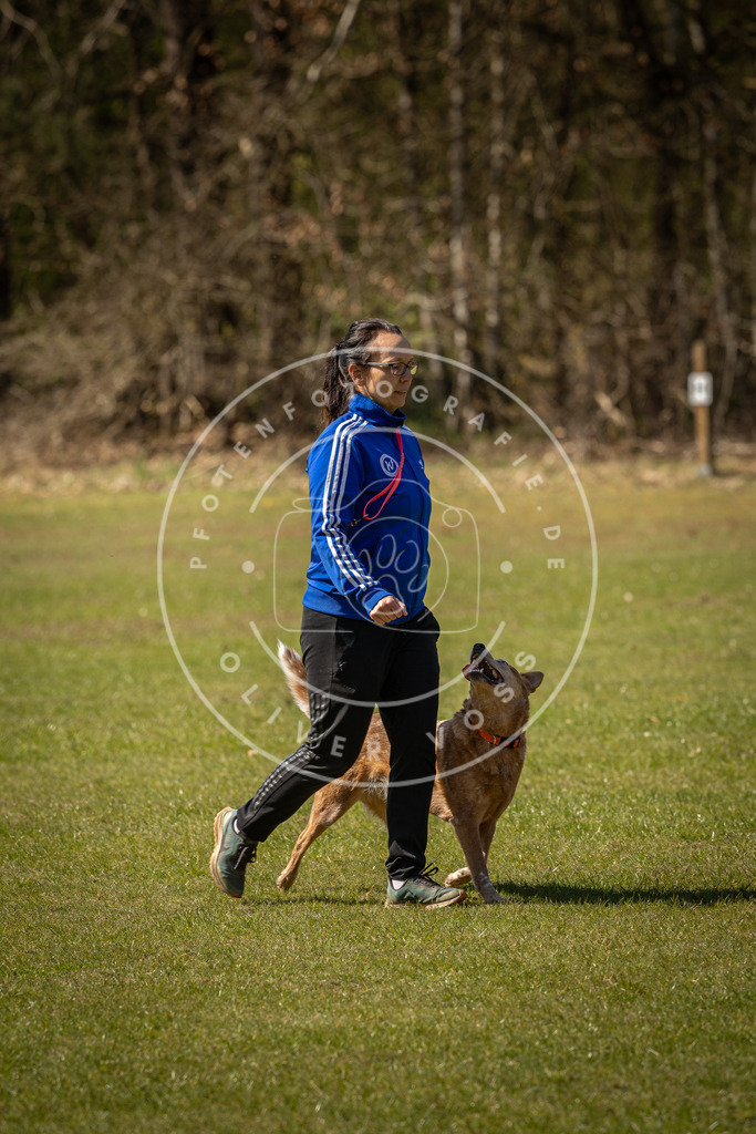 Pfotenfotografie_DV3A0868 | Hundefotografie, Tierfotograf, Pfotenfotografie, Fotoshooting Hund, Hunde Portrait, Hundesport, Hundeportraits, Heideshooting, Hunde, Sportfotograf, Hundefotograf, Turnierhundsport, THS,  - Realisiert mit Pictrs.com