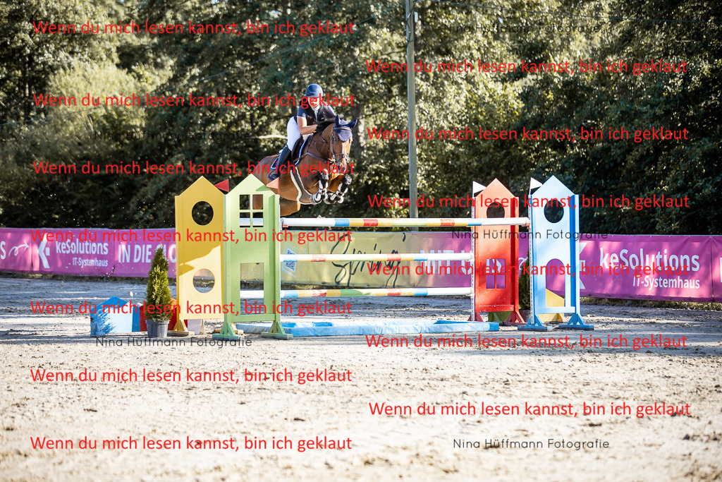 BK1A8663 | Turnierbilder Turnierfotos Nina Hüffmann Turnierfotografie Pferdefotografie Tierzeichnung Haustierzeichnung Pferdezeichnung Hundezeichnung Videograf  - Realisiert mit Pictrs.com