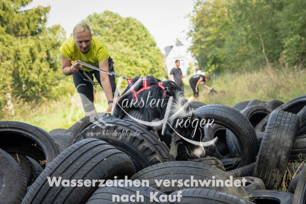 1537_ZZ91906-Bearbeitet | kk-dogfotos