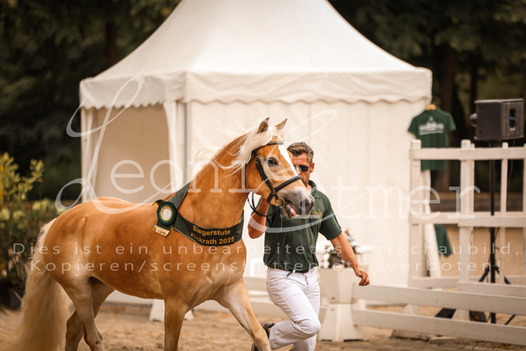 06.So00178 | Leoni Ertmer Photography - Realisiert mit Pictrs.com