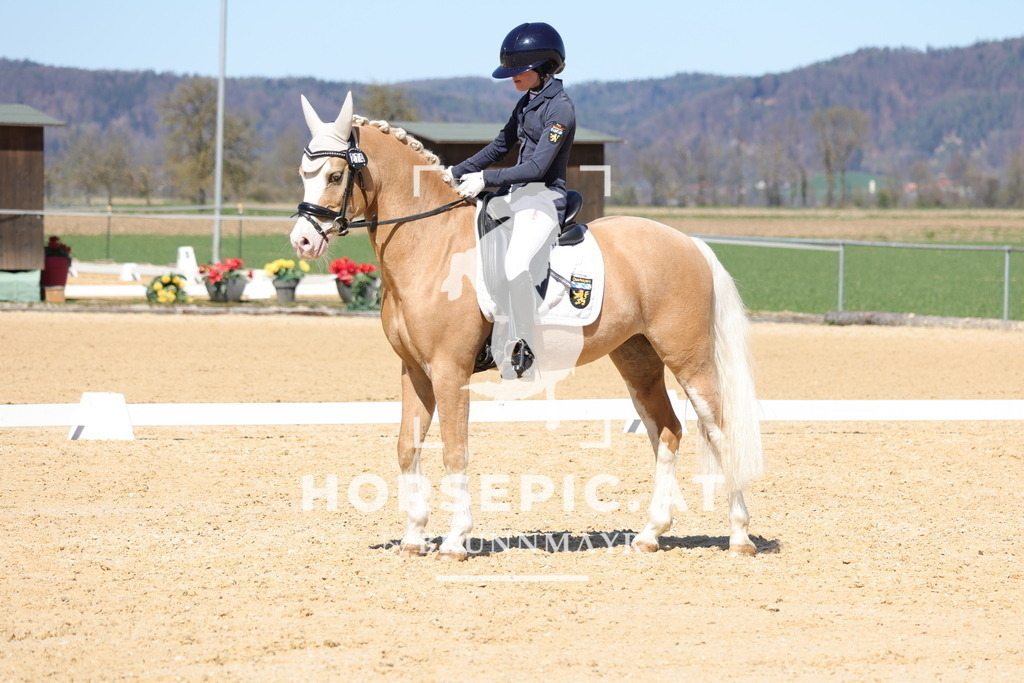 0P6A7592 | Willkommen bei Brunnmayr - Design & Fotografie – Ihrem Spezialisten für Reitturniere und Pferdeveranstaltungen in Oberösterreich, Salzburg und Bayern! Seit über 17 Jahren sind wir leidenschaftlich dabei.