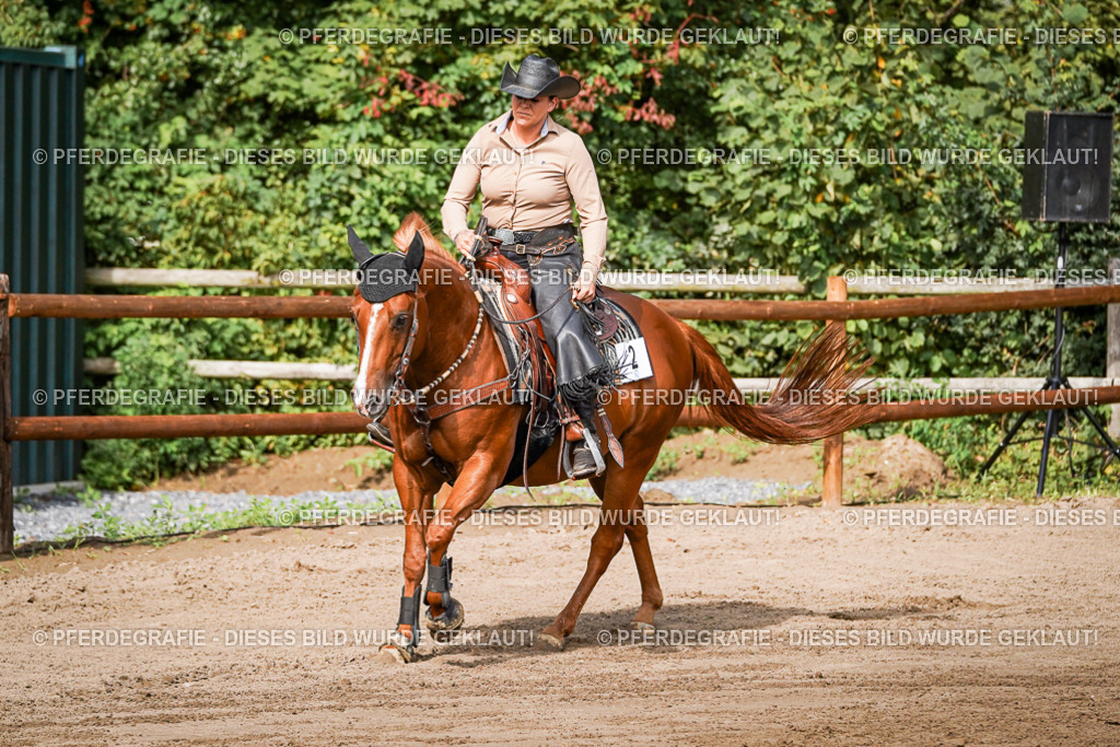 DSC09600 | Pferdegrafie