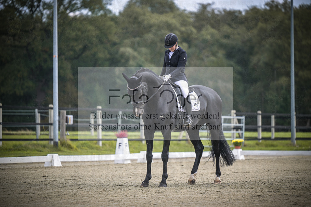 DOS_B556 | Entdecke hochwertige Reitturnierfotos von Foto Oger. Professionell, emotional und authentisch – jetzt Lieblingsmomente im Shop bestellen.Deutschlandweite Turnierfotografie. - Realisiert mit Pictrs.com