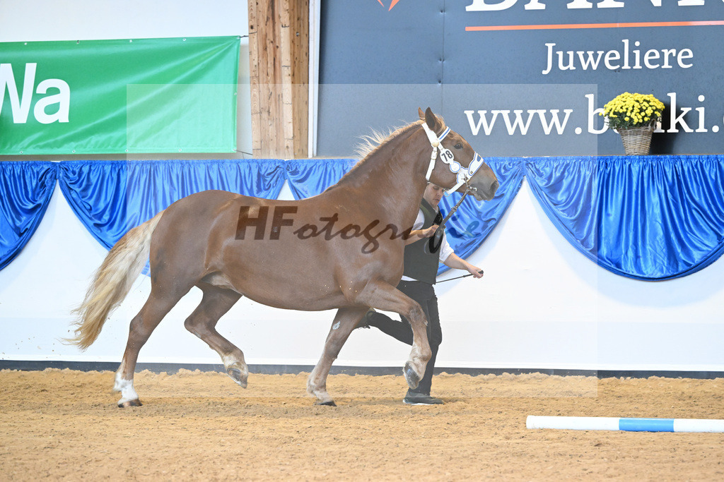 Kat-Nr. 78 Haquira_Bacher_53220386 | hf-fotografie - Realisiert mit Pictrs.com