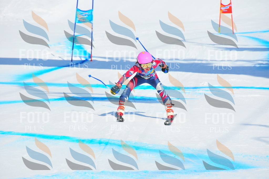 DSC_0599 | holidayphoto