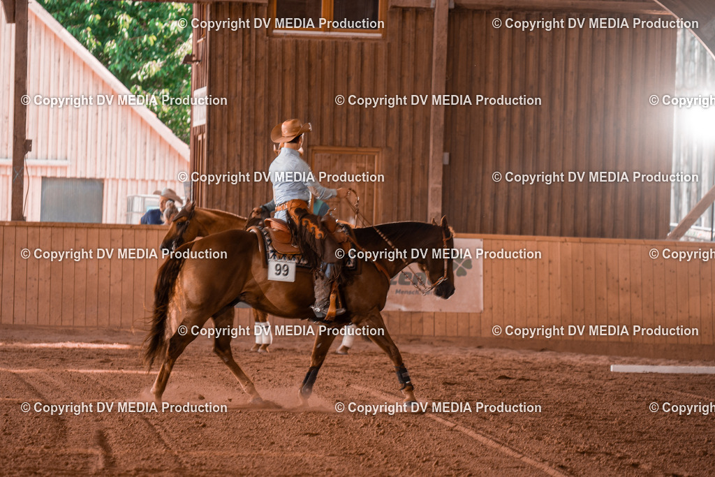 NE300273 | dv-media-shop - Realisiert mit Pictrs.com