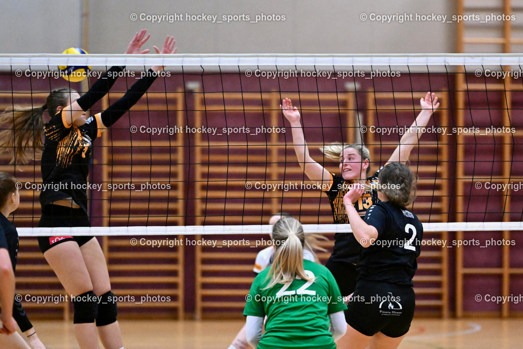 ASKÖ Volley Eagles Villach vs. VC Hausmannstätten | #5 JANESCHITZ Johanna ASKÖ Volley Eagles Villach, #22 SAUER Sarah VC Hausmannstätten, #13 BEBEKAJLO Vanessa ASKÖ Volley Eagles Villach, #2 WAILLAND Katharina VC Hausmannstätten, ASKÖ Volley Eagles Villach vs. VC Hausmannstätten, ASKÖ Volley Eagles Villach vs. VC Hausmannstätten am 01.02.2025 in Villach (Ballspielhalle Lind), Austria, (Photo by Bernd Stefan)