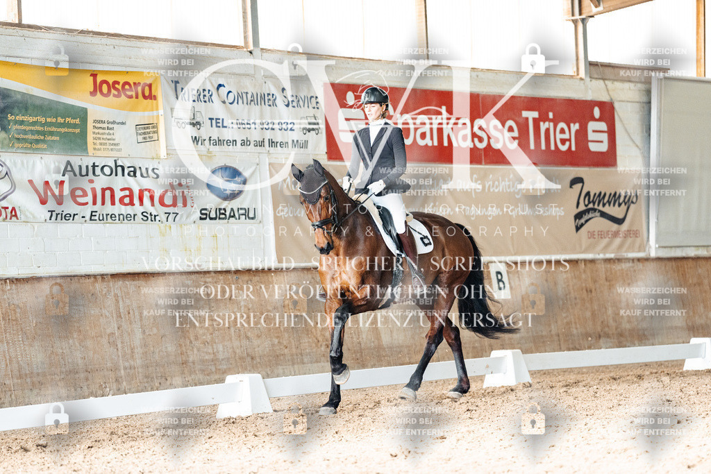 CK903111 | Turnierfotografie Pferdefotografie Trier Rheinland-Pfalz Pferdesport Reitsport Tierfotografie Sportfotografie Pferdevideo Pferdevideografie Equestrianvideography equestrianphotography  - Realisiert mit Pictrs.com