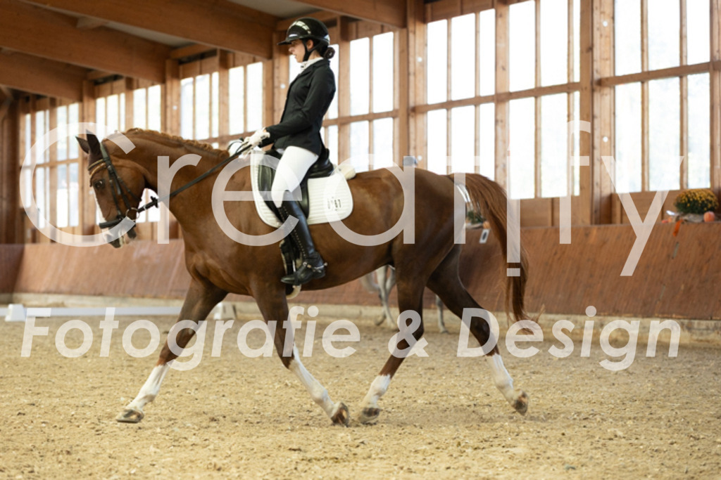 IMG_5224 | Creatify Fotografie